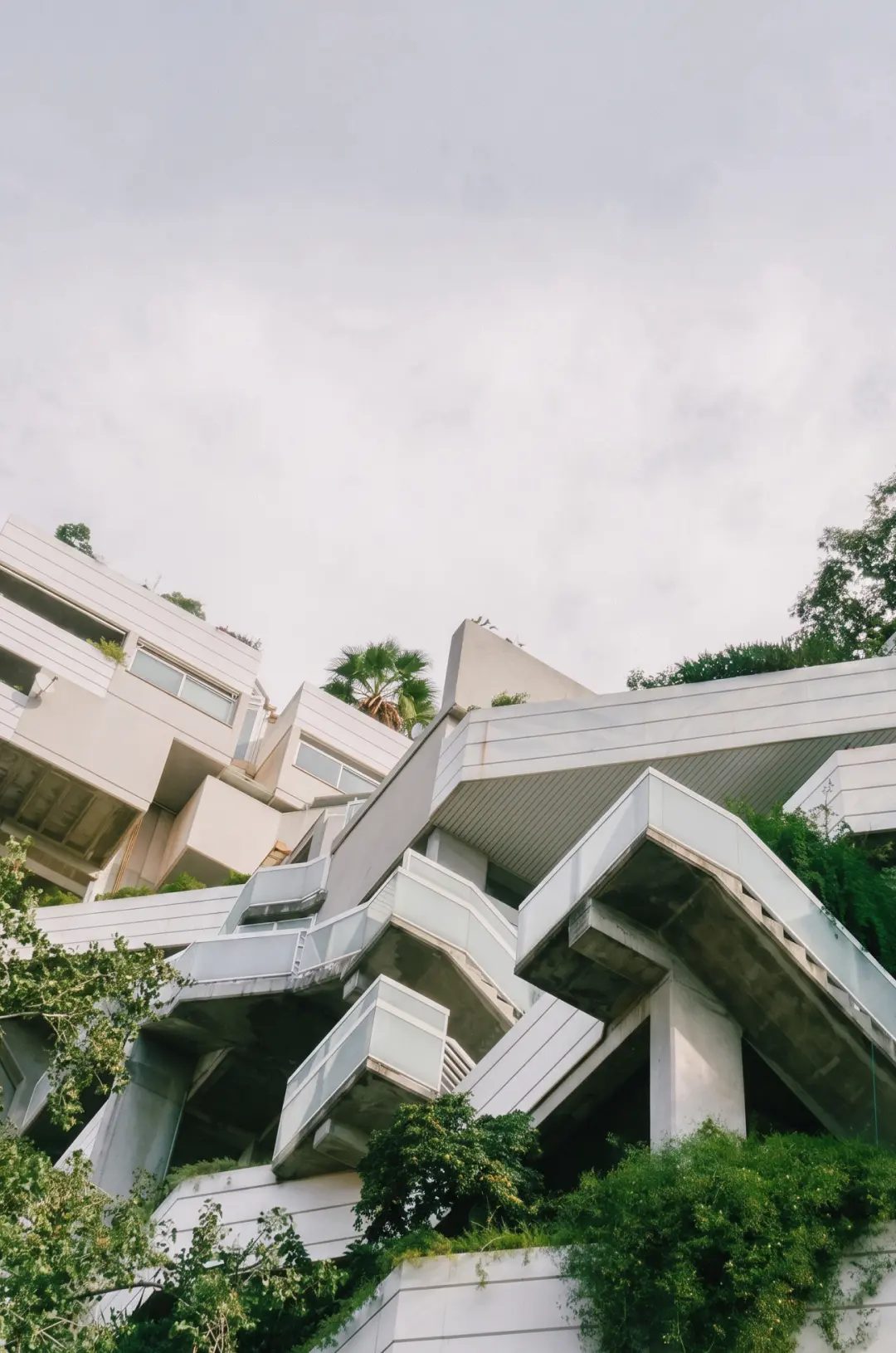 Edificio de arquitectura moderna rodeado de vegetación en Valencia